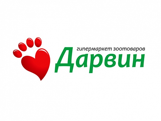 Разработка логотипа